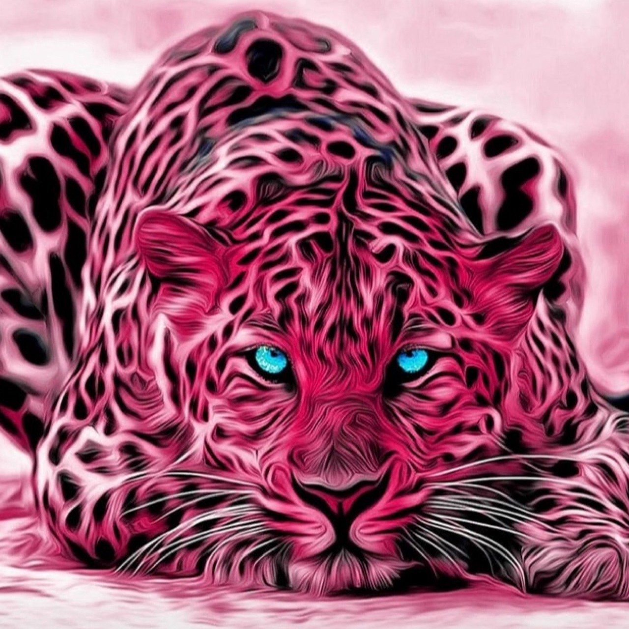 怪物猎人XX，猫毒之谜