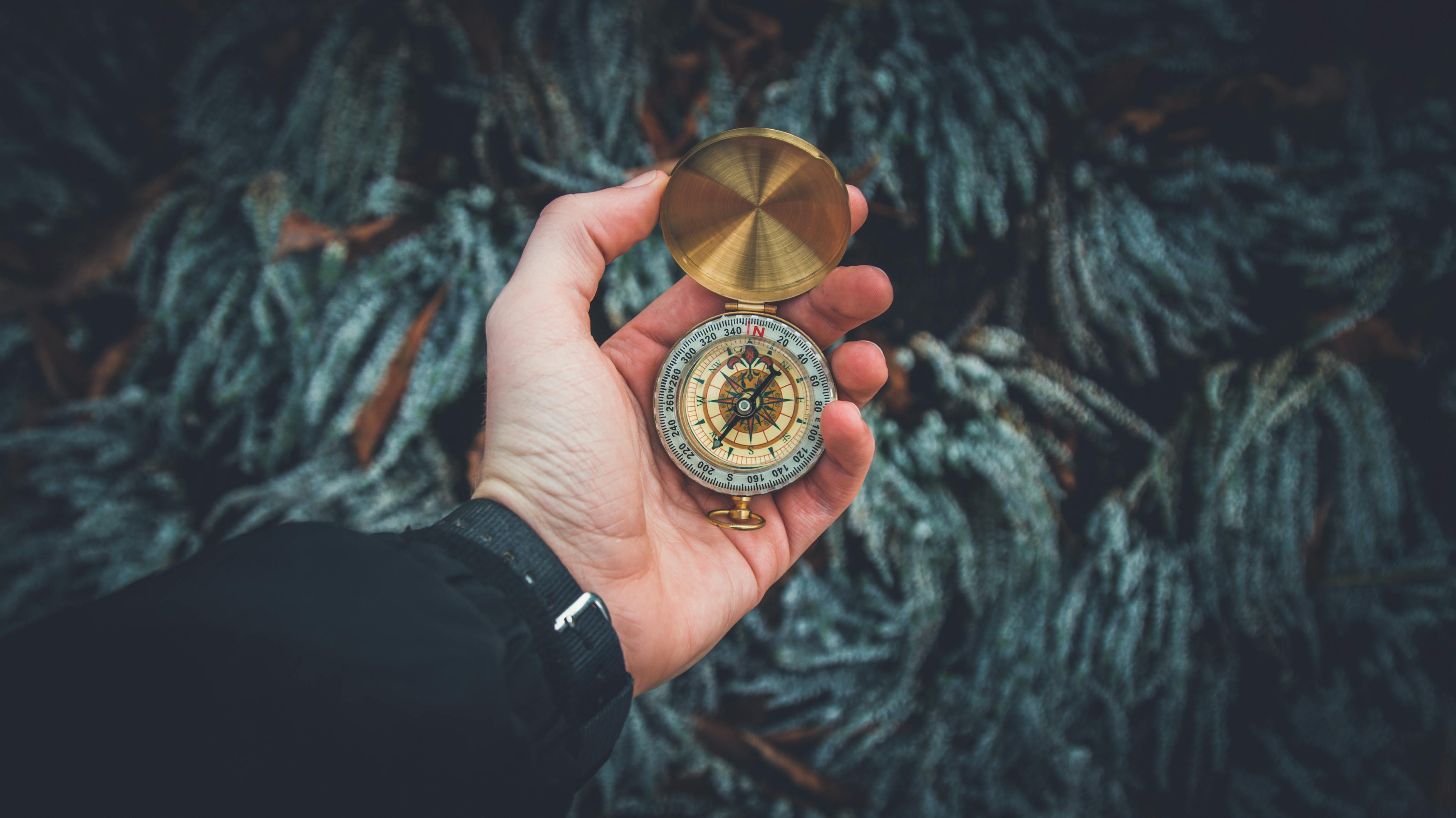 探索未知，重温经典——口袋妖怪心金日版